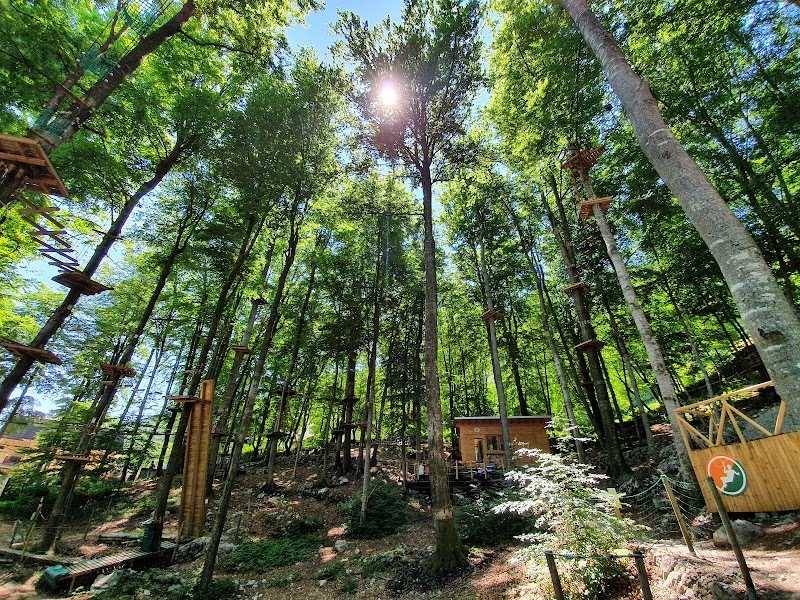 Parco Avventura Roncola