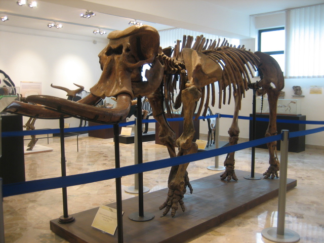 Museo Geologico G.G. Gemmellaro