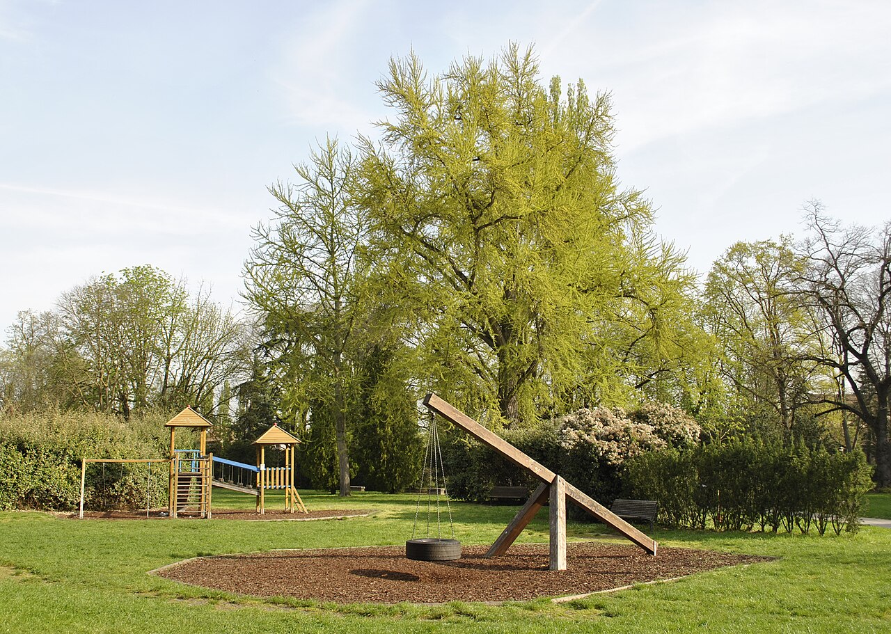 Parco Gallo