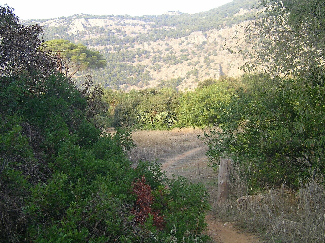 Parco della Favorita (Real Tenuta della Favorita)