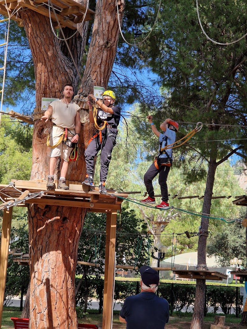 City Adventure Park
